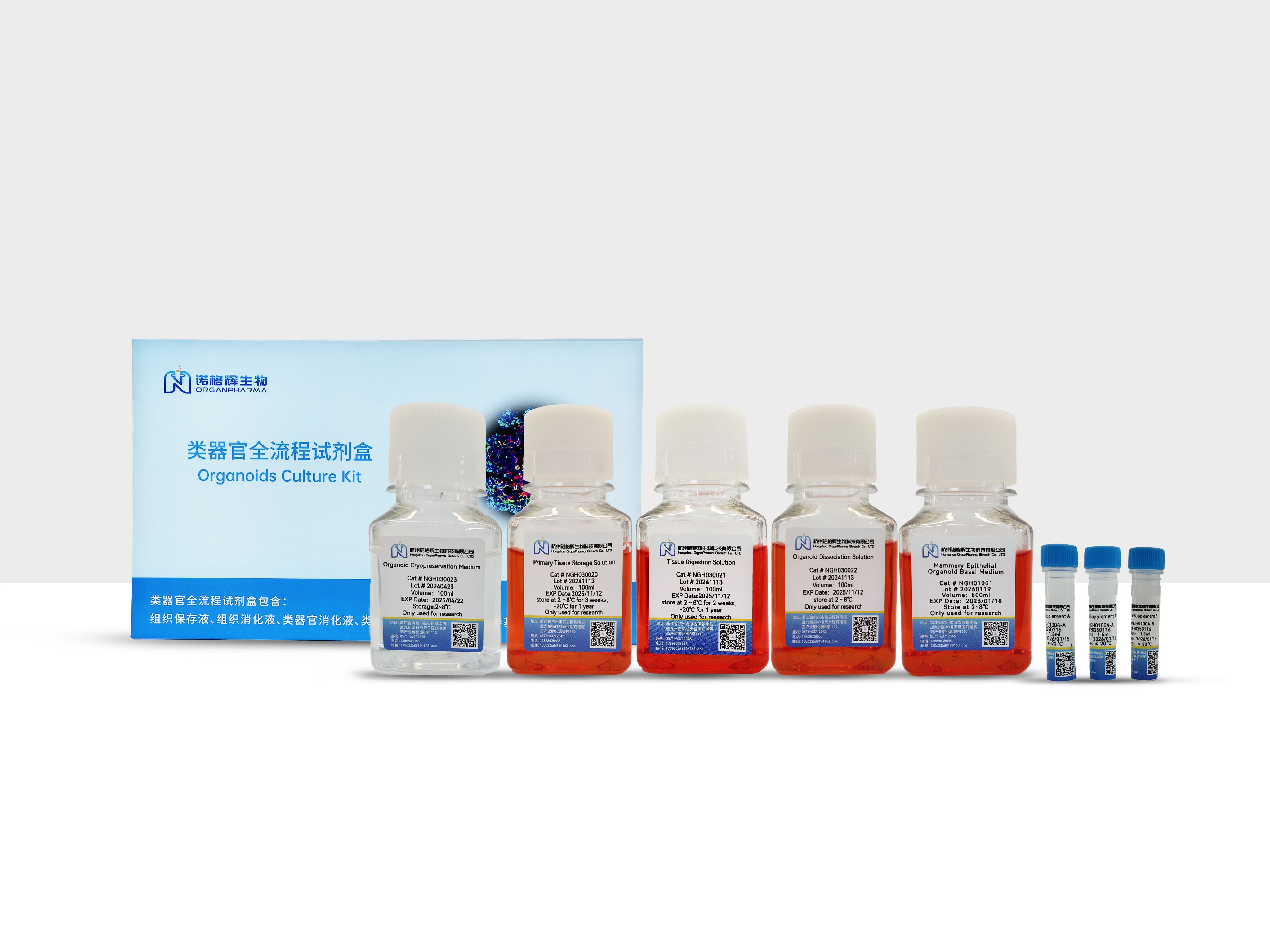 乳腺上皮类器官试剂盒