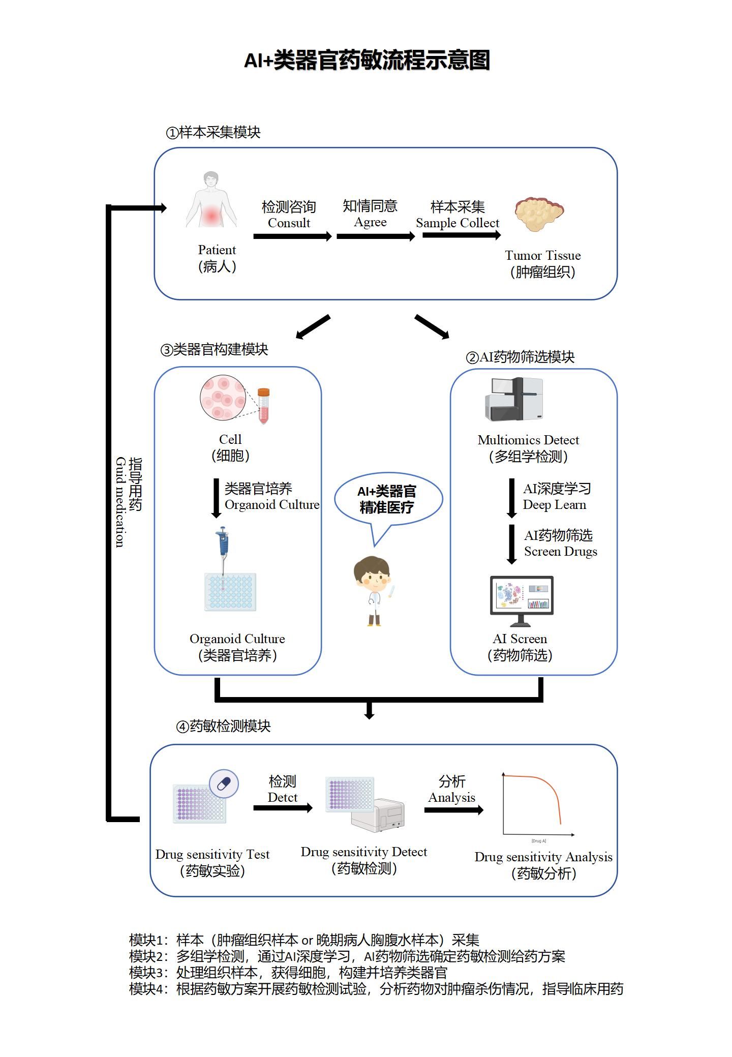 类器官药敏流程示意图（竖版）2.0_01.jpg