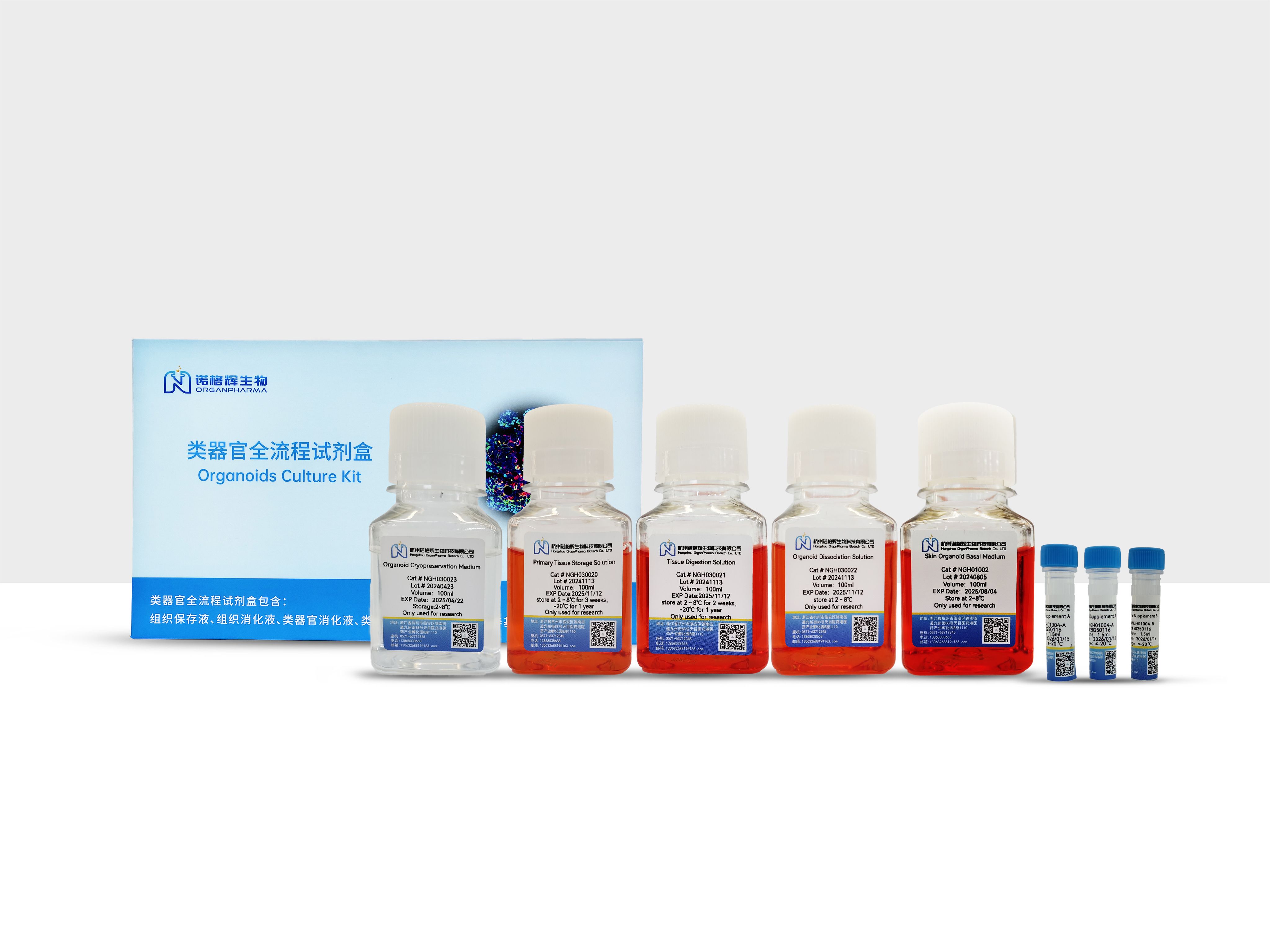 皮肤类器官培养试剂盒