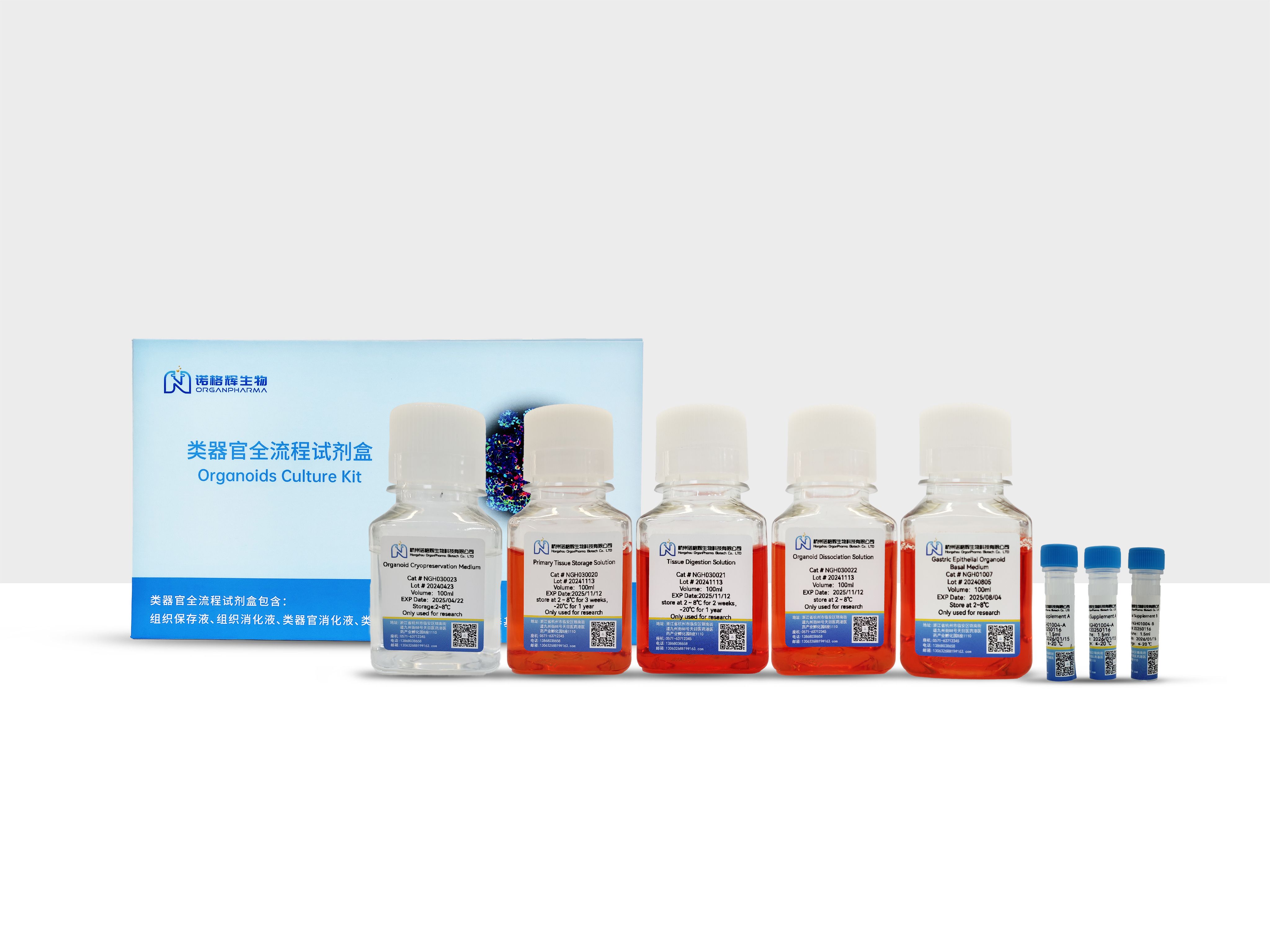 胃上皮类器官培养试剂盒