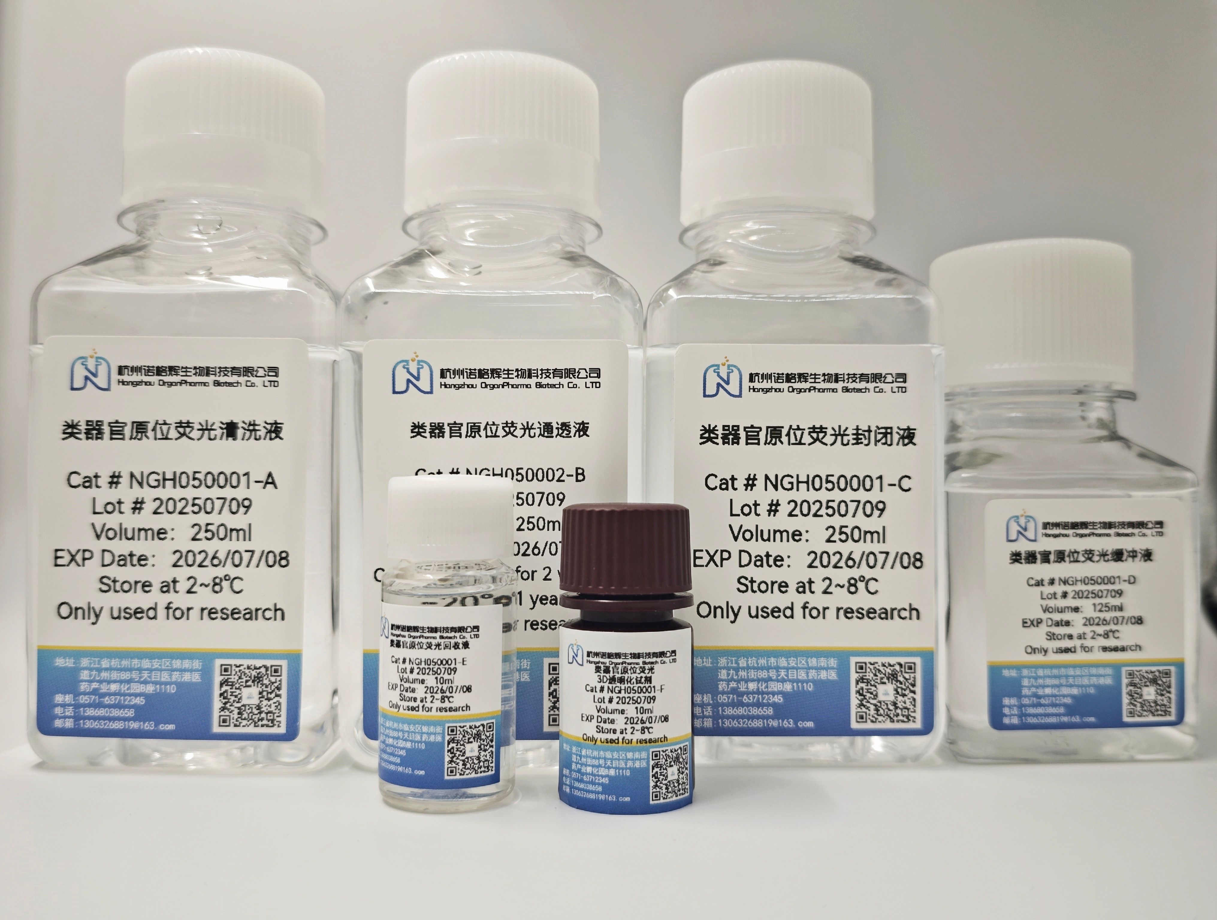 类器官3D全景原位荧光试剂盒