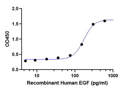 Recombinant Human EGF