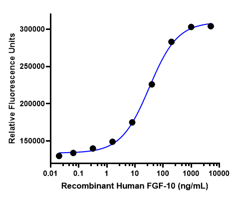 Recombinant Human FGF-10