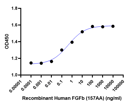 Recombinant Human FGFb (157AA)
