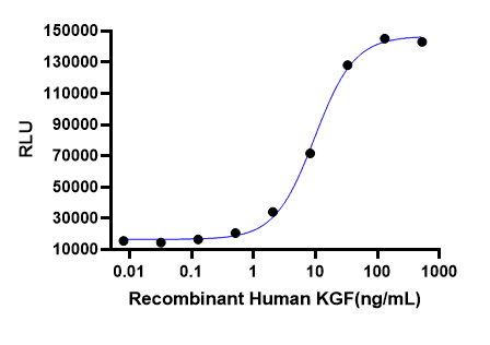 Recombinant Human KGF