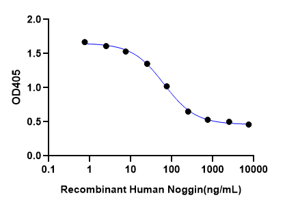 Recombinant Human Noggin