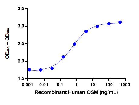 Recombinant Human OSM (N-6His)