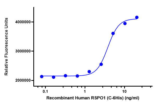 Recombinant Human RSPO1 (C-6His)