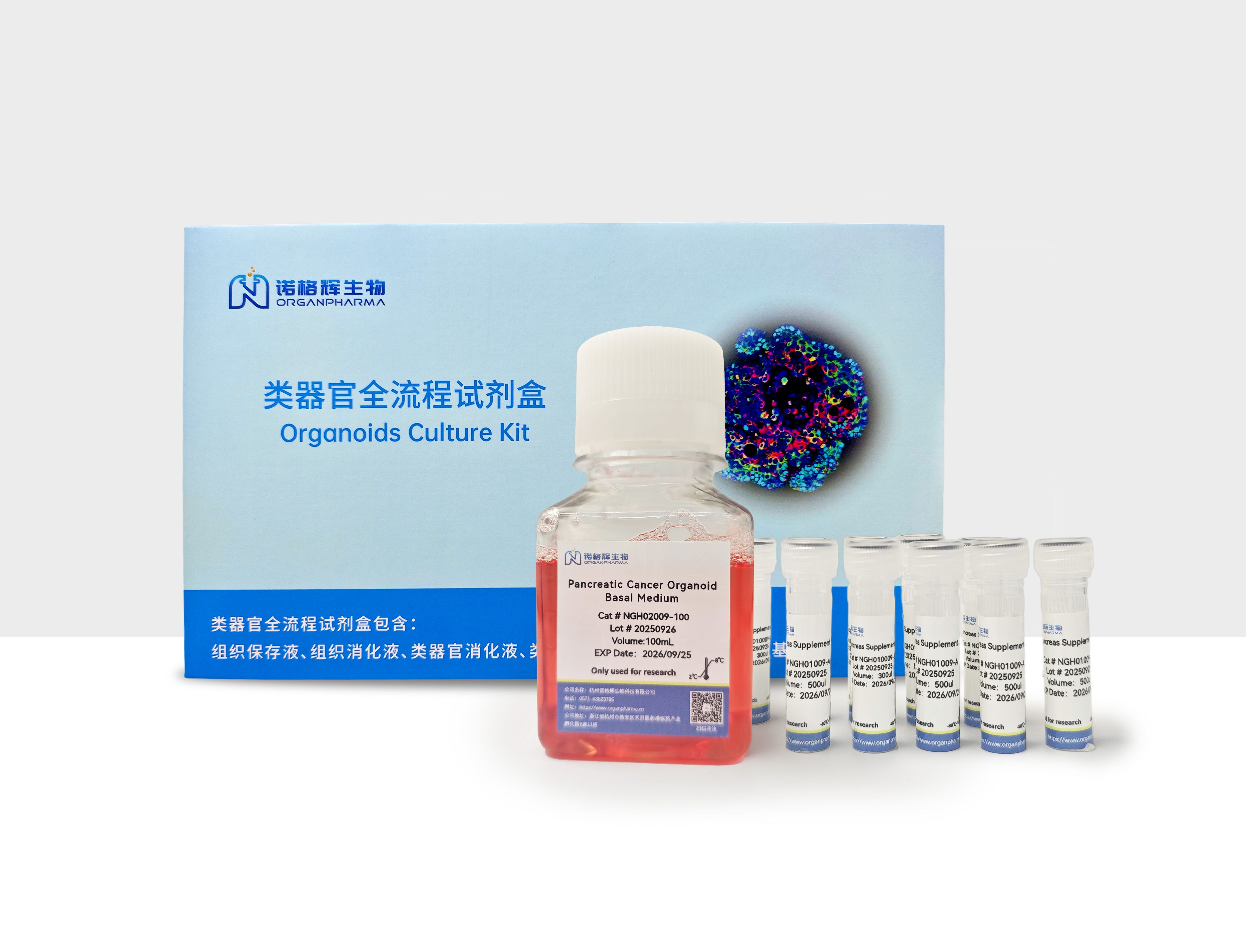 胰腺癌类器官培养基